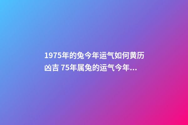 1975年的兔今年运气如何黄历凶吉 75年属兔的运气今年怎么样|75年属兔的运气今年怎么样-第1张-观点-玄机派